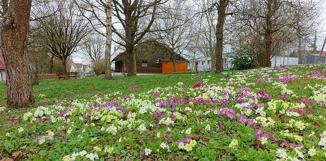 Vereinsgebäude und Blumenwiese Gartenfreunde Böhmenkirch